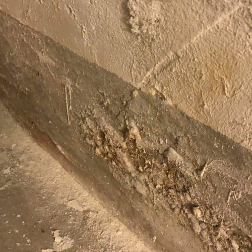 Vorher Bild eines geschädigten Kellers